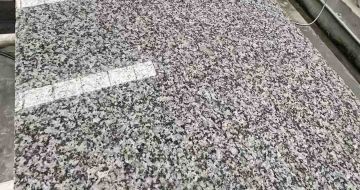 苏州 芙蓉白光面