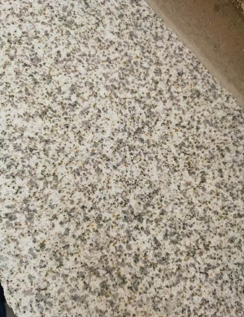 苏州 黄金麻中黄光面