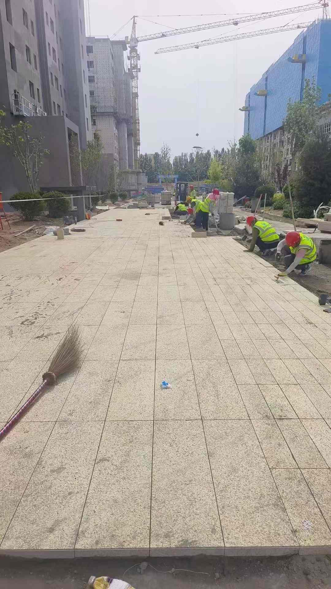 苏州黄金麻荔枝面地铺案例