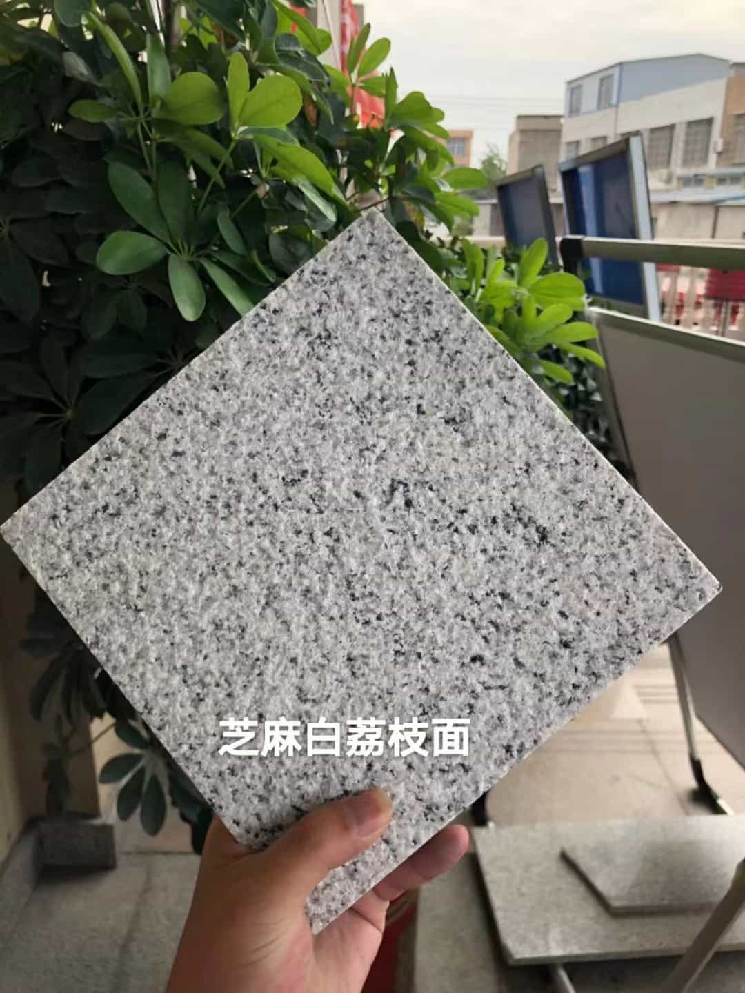 苏州 芝麻白荔枝面干挂