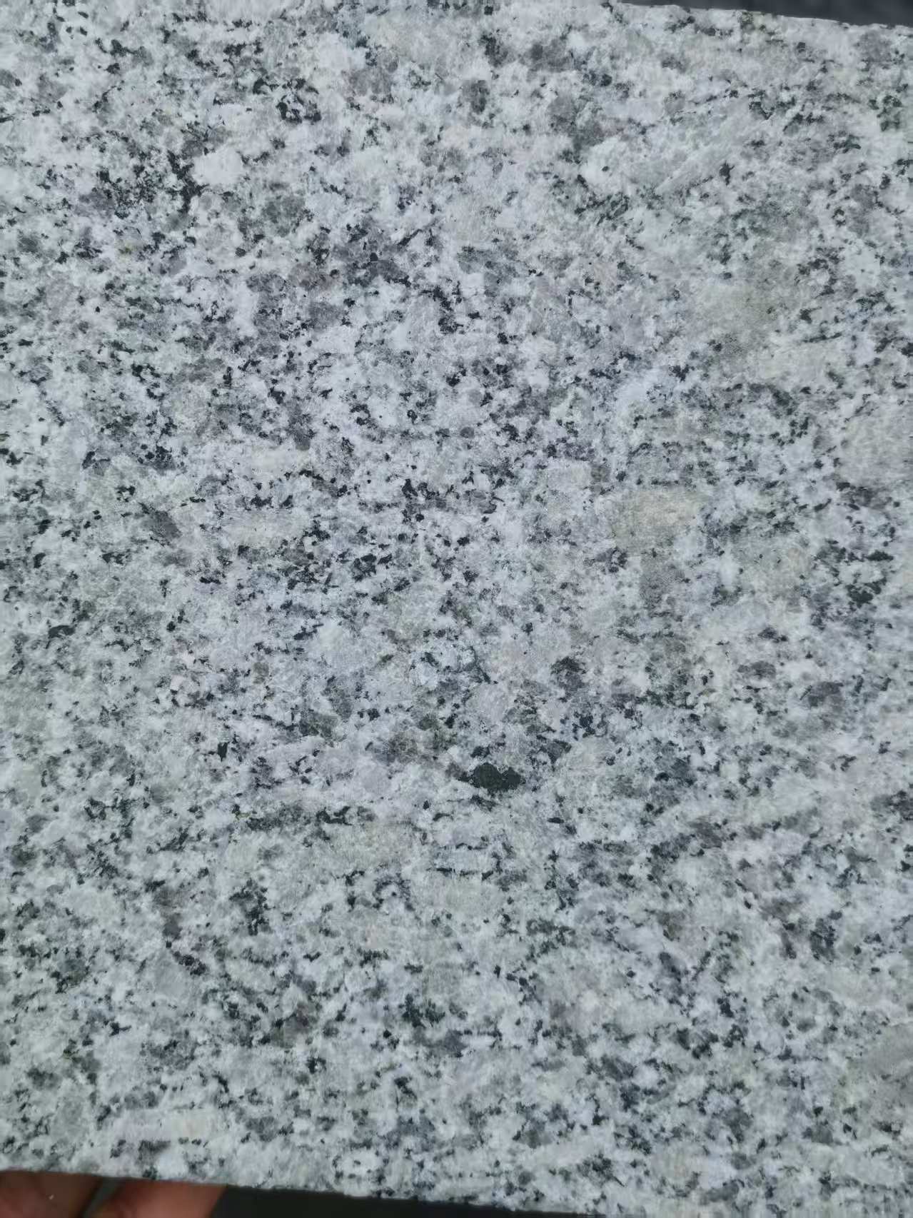 苏州 芙蓉白火烧面